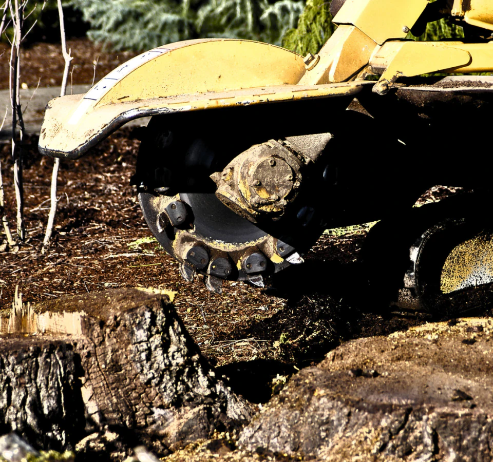 a newly pressure washed driveway