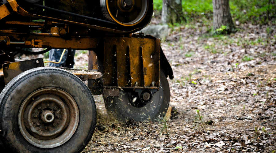 ongoing stump grinding process