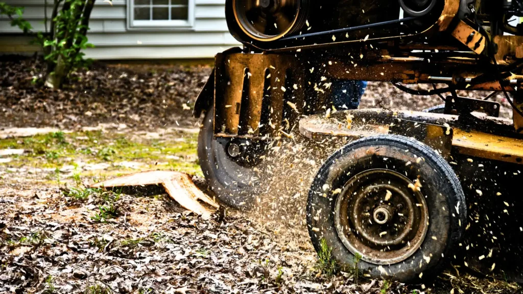 hero stump grinding services on the clients backyard hero stump grinding services on the clients backyard